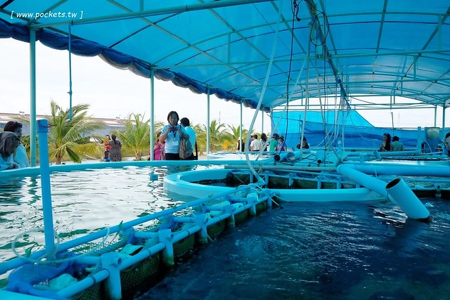 泰國華欣｜曼谷自由行Day4｜體驗和尚佈施&rarr;Laem Phak Bia環境研究發展中心&rarr;Krua Bang Ta Boon午餐&rarr;皇家海洋種植業及養殖中心&rarr;海塩SPA療程&rarr;Devasom Huahin Resort晚餐&rarr;Hua Hin Marriott Resort & Spa @飛天璇的口袋