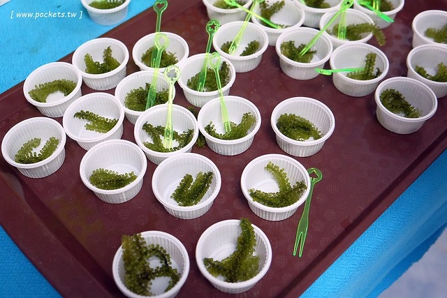 泰國華欣｜曼谷自由行Day4｜體驗和尚佈施&rarr;Laem Phak Bia環境研究發展中心&rarr;Krua Bang Ta Boon午餐&rarr;皇家海洋種植業及養殖中心&rarr;海塩SPA療程&rarr;Devasom Huahin Resort晚餐&rarr;Hua Hin Marriott Resort & Spa @飛天璇的口袋