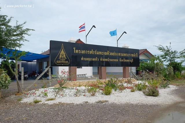 泰國華欣｜曼谷自由行Day4｜體驗和尚佈施&rarr;Laem Phak Bia環境研究發展中心&rarr;Krua Bang Ta Boon午餐&rarr;皇家海洋種植業及養殖中心&rarr;海塩SPA療程&rarr;Devasom Huahin Resort晚餐&rarr;Hua Hin Marriott Resort & Spa @飛天璇的口袋