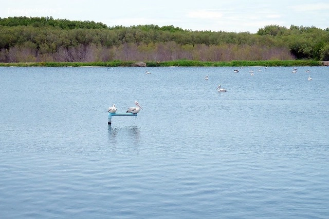 泰國華欣｜曼谷自由行Day4｜體驗和尚佈施&rarr;Laem Phak Bia環境研究發展中心&rarr;Krua Bang Ta Boon午餐&rarr;皇家海洋種植業及養殖中心&rarr;海塩SPA療程&rarr;Devasom Huahin Resort晚餐&rarr;Hua Hin Marriott Resort & Spa @飛天璇的口袋