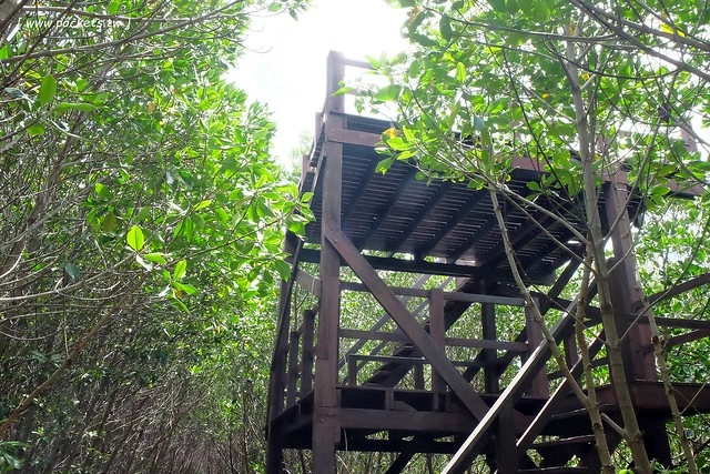 泰國華欣｜曼谷自由行Day4｜體驗和尚佈施&rarr;Laem Phak Bia環境研究發展中心&rarr;Krua Bang Ta Boon午餐&rarr;皇家海洋種植業及養殖中心&rarr;海塩SPA療程&rarr;Devasom Huahin Resort晚餐&rarr;Hua Hin Marriott Resort & Spa @飛天璇的口袋