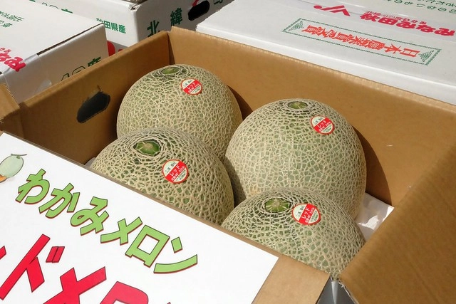 日本秋田｜男鹿真山傳承館．體驗秋田文化遺產，近距離接觸生剝鬼 @飛天璇的口袋