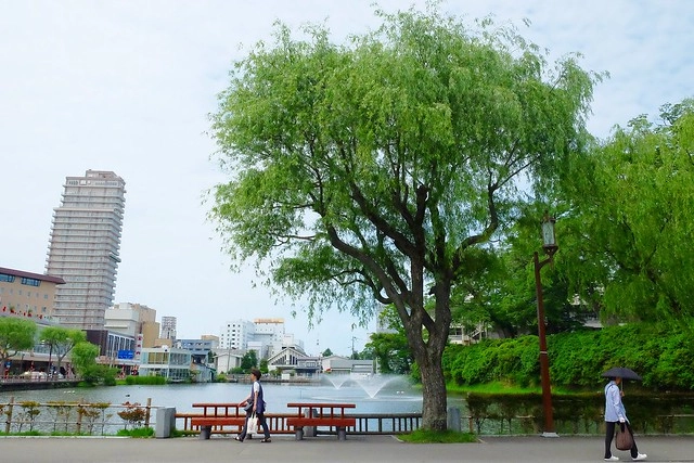 日本秋田｜秋田婆婆冰．可愛的玫瑰叭噗冰，巧遇千秋公園路邊攤 @飛天璇的口袋