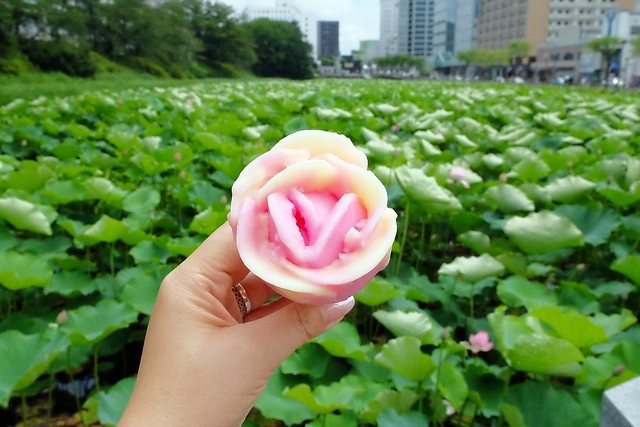 日本秋田｜秋田婆婆冰．可愛的玫瑰叭噗冰，巧遇千秋公園路邊攤 @飛天璇的口袋