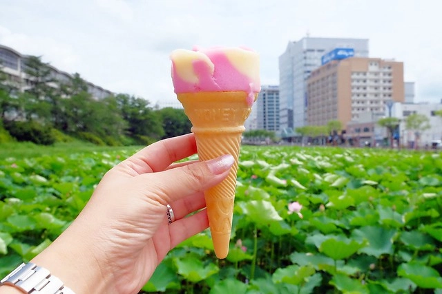 日本秋田｜秋田婆婆冰．可愛的玫瑰叭噗冰，巧遇千秋公園路邊攤 @飛天璇的口袋