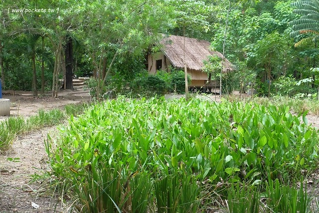 泰國華欣｜曼谷自由行Day3｜手工藝術品中心&rarr;華欣藝術村&rarr;農業觀光推廣公園&rarr;荷葉包料理&rarr;華欣萬豪SPA渡假村(Hua Hin Marriott Resort & Spa)&rarr;Coco 51晚餐&rarr;華欣夜市 @飛天璇的口袋