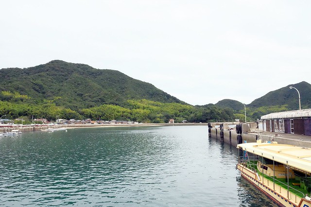 【日本愛媛】從廣島機場到今治市的交通方式~搭巴士遊尾道和今治，來島海峽急流觀潮船，日本三大急流之一 @飛天璇的口袋