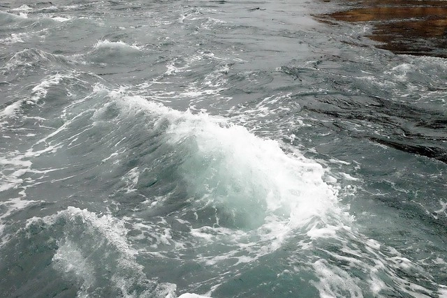 【日本愛媛】從廣島機場到今治市的交通方式~搭巴士遊尾道和今治，來島海峽急流觀潮船，日本三大急流之一 @飛天璇的口袋