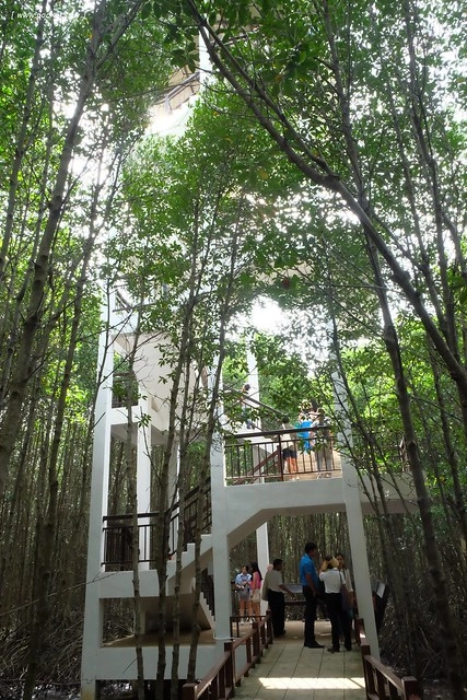 泰國華欣｜曼谷自由行Day2｜宋丹族文化中心&rarr;黑山高爾夫俱樂部&rarr;午餐&rarr;紅樹林生態系統學習中心&rarr;Udom Pochana Seafood Restaurant晚餐&rarr;奧萊塔普拉布里酒店(Aleenta Resort Pranburi) @飛天璇的口袋