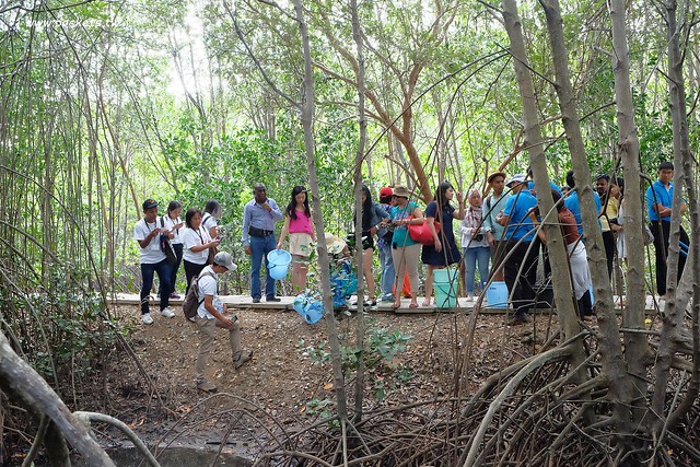 泰國華欣｜曼谷自由行Day2｜宋丹族文化中心&rarr;黑山高爾夫俱樂部&rarr;午餐&rarr;紅樹林生態系統學習中心&rarr;Udom Pochana Seafood Restaurant晚餐&rarr;奧萊塔普拉布里酒店(Aleenta Resort Pranburi) @飛天璇的口袋
