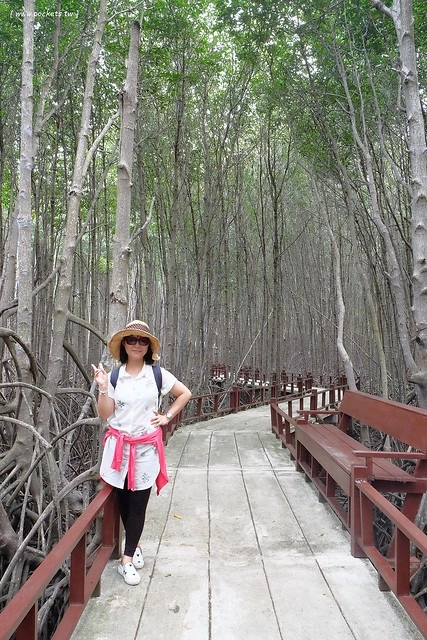 泰國華欣｜曼谷自由行Day2｜宋丹族文化中心&rarr;黑山高爾夫俱樂部&rarr;午餐&rarr;紅樹林生態系統學習中心&rarr;Udom Pochana Seafood Restaurant晚餐&rarr;奧萊塔普拉布里酒店(Aleenta Resort Pranburi) @飛天璇的口袋