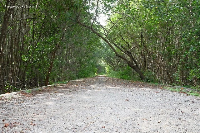 泰國華欣｜曼谷自由行Day2｜宋丹族文化中心&rarr;黑山高爾夫俱樂部&rarr;午餐&rarr;紅樹林生態系統學習中心&rarr;Udom Pochana Seafood Restaurant晚餐&rarr;奧萊塔普拉布里酒店(Aleenta Resort Pranburi) @飛天璇的口袋