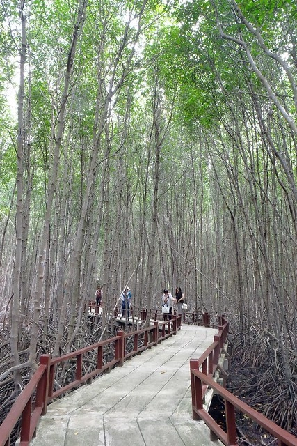 泰國華欣｜曼谷自由行Day2｜宋丹族文化中心&rarr;黑山高爾夫俱樂部&rarr;午餐&rarr;紅樹林生態系統學習中心&rarr;Udom Pochana Seafood Restaurant晚餐&rarr;奧萊塔普拉布里酒店(Aleenta Resort Pranburi) @飛天璇的口袋