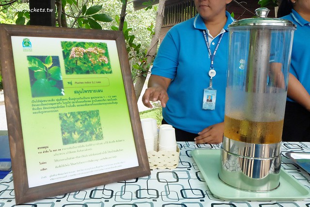 泰國華欣｜曼谷自由行Day2｜宋丹族文化中心&rarr;黑山高爾夫俱樂部&rarr;午餐&rarr;紅樹林生態系統學習中心&rarr;Udom Pochana Seafood Restaurant晚餐&rarr;奧萊塔普拉布里酒店(Aleenta Resort Pranburi) @飛天璇的口袋