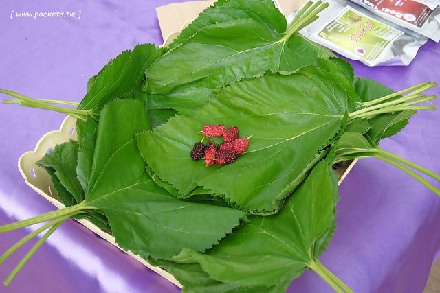 泰國華欣｜曼谷自由行Day3｜手工藝術品中心&rarr;華欣藝術村&rarr;農業觀光推廣公園&rarr;荷葉包料理&rarr;華欣萬豪SPA渡假村(Hua Hin Marriott Resort & Spa)&rarr;Coco 51晚餐&rarr;華欣夜市 @飛天璇的口袋