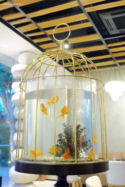 泰國華欣｜華欣SO索菲特飯店 SO Sofitel Hua Hin，奢華又具有設計感的渡假飯店，有可愛的親子房間享受自然生態 @飛天璇的口袋