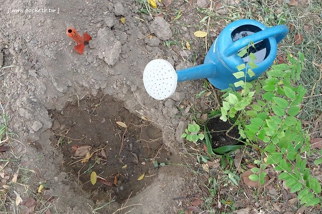 泰國華欣｜曼谷自由行Day3｜手工藝術品中心&rarr;華欣藝術村&rarr;農業觀光推廣公園&rarr;荷葉包料理&rarr;華欣萬豪SPA渡假村(Hua Hin Marriott Resort & Spa)&rarr;Coco 51晚餐&rarr;華欣夜市 @飛天璇的口袋