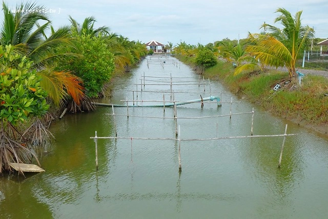 泰國華欣｜曼谷自由行Day4｜體驗和尚佈施&rarr;Laem Phak Bia環境研究發展中心&rarr;Krua Bang Ta Boon午餐&rarr;皇家海洋種植業及養殖中心&rarr;海塩SPA療程&rarr;Devasom Huahin Resort晚餐&rarr;Hua Hin Marriott Resort & Spa @飛天璇的口袋
