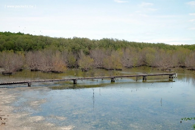 泰國華欣｜曼谷自由行Day4｜體驗和尚佈施&rarr;Laem Phak Bia環境研究發展中心&rarr;Krua Bang Ta Boon午餐&rarr;皇家海洋種植業及養殖中心&rarr;海塩SPA療程&rarr;Devasom Huahin Resort晚餐&rarr;Hua Hin Marriott Resort & Spa @飛天璇的口袋