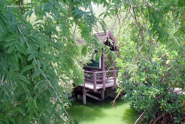 泰國華欣｜曼谷自由行Day4｜體驗和尚佈施&rarr;Laem Phak Bia環境研究發展中心&rarr;Krua Bang Ta Boon午餐&rarr;皇家海洋種植業及養殖中心&rarr;海塩SPA療程&rarr;Devasom Huahin Resort晚餐&rarr;Hua Hin Marriott Resort & Spa @飛天璇的口袋