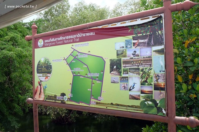 泰國華欣｜曼谷自由行Day4｜體驗和尚佈施&rarr;Laem Phak Bia環境研究發展中心&rarr;Krua Bang Ta Boon午餐&rarr;皇家海洋種植業及養殖中心&rarr;海塩SPA療程&rarr;Devasom Huahin Resort晚餐&rarr;Hua Hin Marriott Resort & Spa @飛天璇的口袋