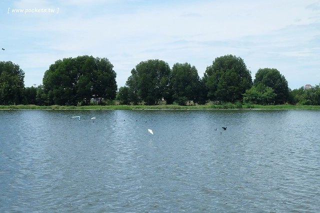 泰國華欣｜曼谷自由行Day4｜體驗和尚佈施&rarr;Laem Phak Bia環境研究發展中心&rarr;Krua Bang Ta Boon午餐&rarr;皇家海洋種植業及養殖中心&rarr;海塩SPA療程&rarr;Devasom Huahin Resort晚餐&rarr;Hua Hin Marriott Resort & Spa @飛天璇的口袋