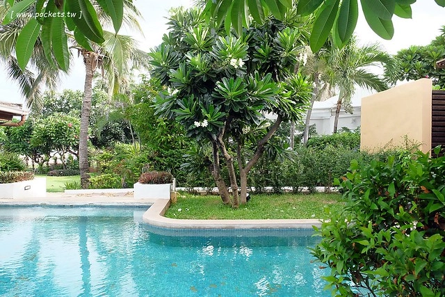 泰國華欣｜奧萊塔普拉布里飯店 Aleenta Resort Pranburi，獨棟villa與游泳池，海天一色的美景，華欣夢幻渡假飯店 @飛天璇的口袋