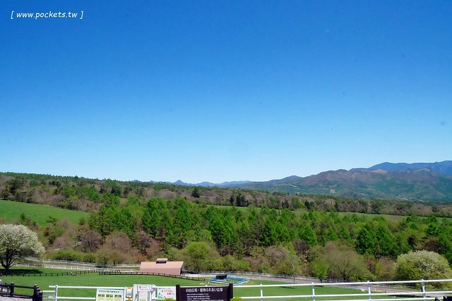 日本山梨｜清里四間好吃的霜淇淋，清高寮Jersey Hut、Makiba Cafe、Chocolatier Palet &nbsp;D’or、萌木之村大豆屋 @飛天璇的口袋