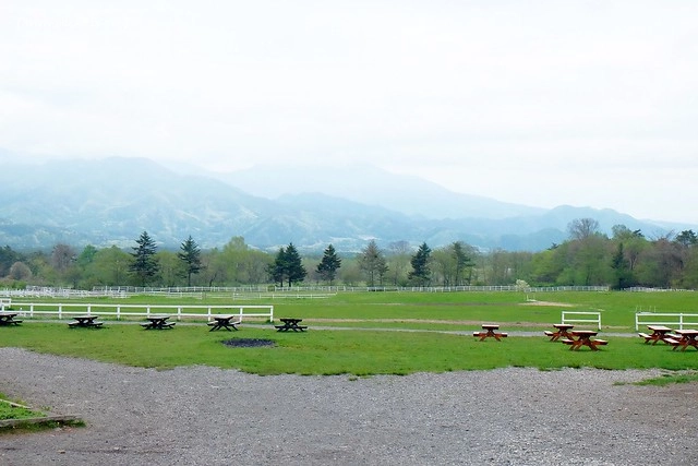 日本山梨｜清里四間好吃的霜淇淋，清高寮Jersey Hut、Makiba Cafe、Chocolatier Palet &nbsp;D’or、萌木之村大豆屋 @飛天璇的口袋