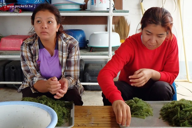 泰國華欣｜曼谷自由行Day4｜體驗和尚佈施&rarr;Laem Phak Bia環境研究發展中心&rarr;Krua Bang Ta Boon午餐&rarr;皇家海洋種植業及養殖中心&rarr;海塩SPA療程&rarr;Devasom Huahin Resort晚餐&rarr;Hua Hin Marriott Resort & Spa @飛天璇的口袋