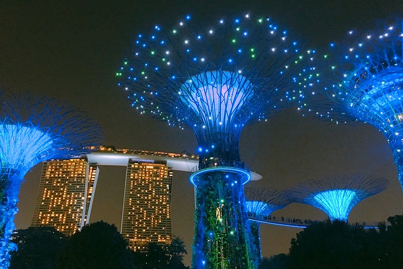 天空樹 Supertree Grove┃新加坡景點：濱海灣公園超震撼美景，走進阿凡達的星球，新加坡必遊景點推薦 @飛天璇的口袋