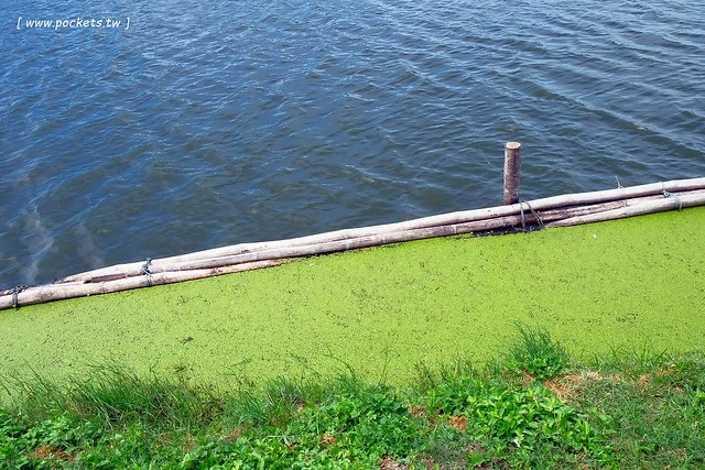 泰國華欣｜曼谷自由行Day4｜體驗和尚佈施&rarr;Laem Phak Bia環境研究發展中心&rarr;Krua Bang Ta Boon午餐&rarr;皇家海洋種植業及養殖中心&rarr;海塩SPA療程&rarr;Devasom Huahin Resort晚餐&rarr;Hua Hin Marriott Resort & Spa @飛天璇的口袋