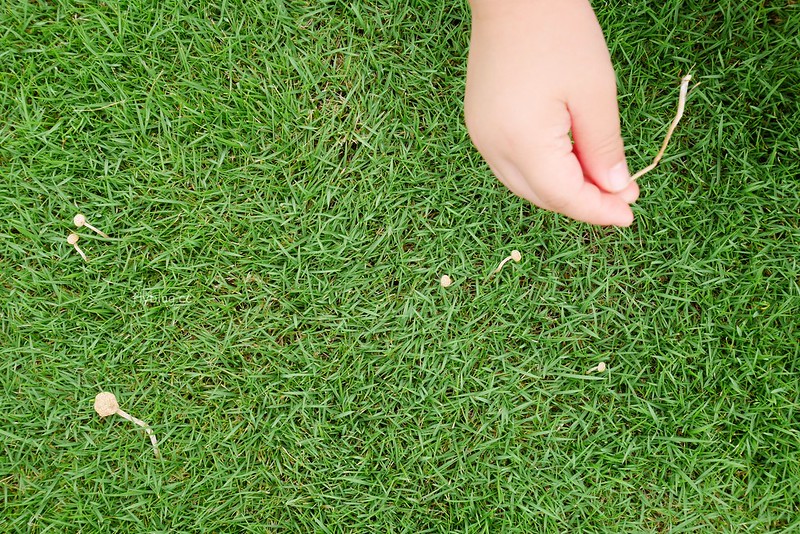 小田生活｜位於田中間的網美咖啡館，充滿草地的野餐風情 @飛天璇的口袋