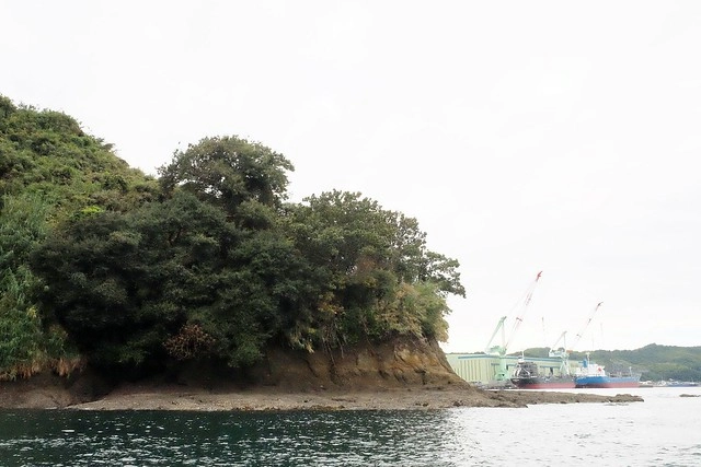 【日本愛媛】從廣島機場到今治市的交通方式~搭巴士遊尾道和今治，來島海峽急流觀潮船，日本三大急流之一 @飛天璇的口袋