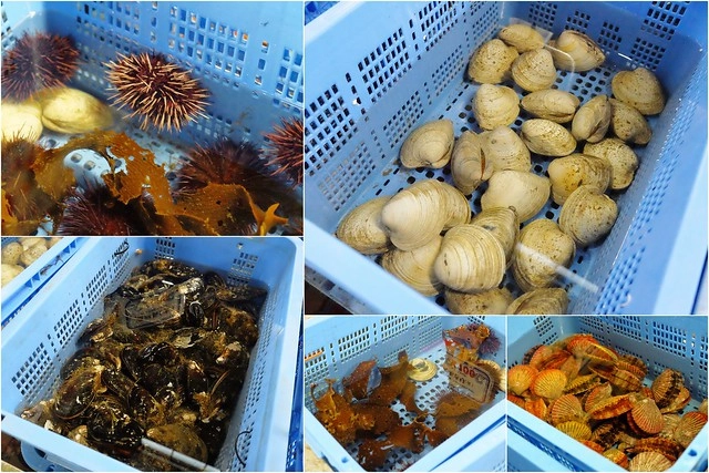 【日本愛媛】從廣島機場到今治市的交通方式~搭巴士遊尾道和今治，來島海峽急流觀潮船，日本三大急流之一 @飛天璇的口袋