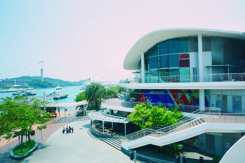 S.E.A海洋館┃新加坡旅遊：新加坡必玩的親子旅遊景點，全世界最大的水族館，超過800種海底生物超療癒 @飛天璇的口袋