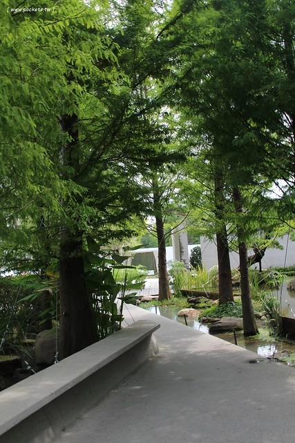 台中南屯｜与玥樓粵菜點心餐廳，台中米其林推介粵菜餐廳，座落於落松羽間的漂亮建築 @飛天璇的口袋