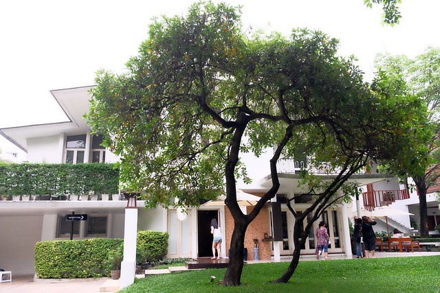 泰國曼谷｜Oasis Spa Bangkok Sukhumvit 31．城市綠洲奢華的貴婦級SPA，精油按摩、泰式按摩、草藥球熱敷 @飛天璇的口袋