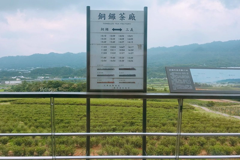 苗栗銅鑼｜銅鑼茶廠．30分鐘車程投入大自然的懷抱，品茗搭配好吃的甜點 @飛天璇的口袋