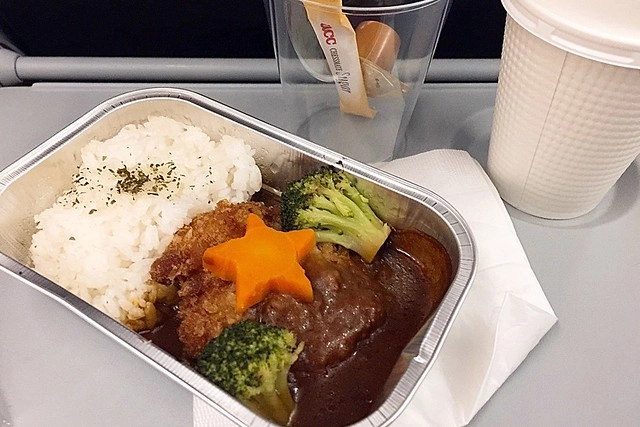 日本愛知｜名古屋5天4夜自由行．合掌村、犬山城、名花之里&hellip;名古屋美食景點伴手禮懶人包 @飛天璇的口袋