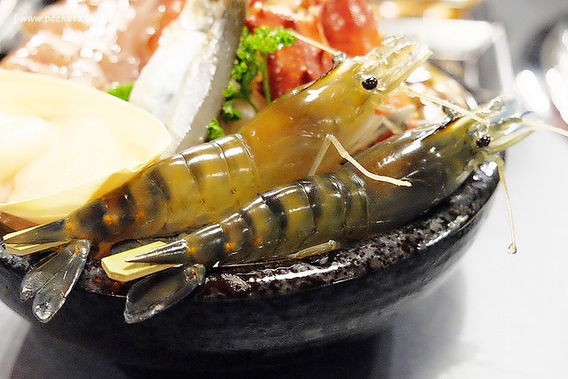 舞蟹┃台中西屯美食：$1350元~活凍帝王蟹、安格斯黑牛、頂級燒烤吃到飽，每日配送新鮮漁獲，刺身、握壽司，台灣啤酒喝到飽，Haagen-Dazs冰淇淋 @飛天璇的口袋