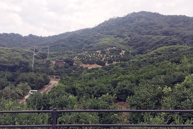 日本廣島｜瀨戶內島波海道自行車．從今治騎到尾道6公里，日本最美的自行車道 @飛天璇的口袋