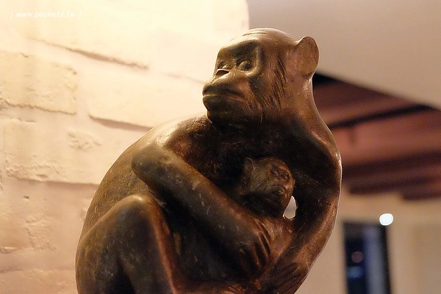 嘉義西區｜蘭桂坊花園酒店．文化路夜市住宿推薦，一出門就開始逛夜市 @飛天璇的口袋