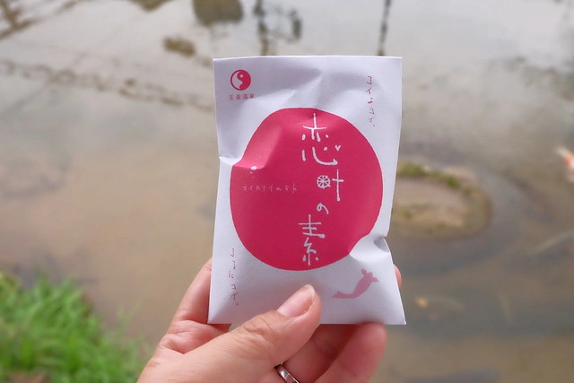 日本島根｜松江市半日遊．玉造溫泉街、玉作湯神社、清嚴寺、湯藥師廣場、姬LABO @飛天璇的口袋