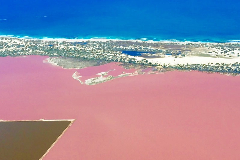 澳洲珀斯｜Hutt Lagoon 粉紅湖，西澳特別的自然景觀，上帝遺落小玫瑰，IG打卡熱門景點 @飛天璇的口袋