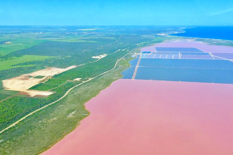 澳洲珀斯｜Hutt Lagoon 粉紅湖，西澳特別的自然景觀，上帝遺落小玫瑰，IG打卡熱門景點 @飛天璇的口袋
