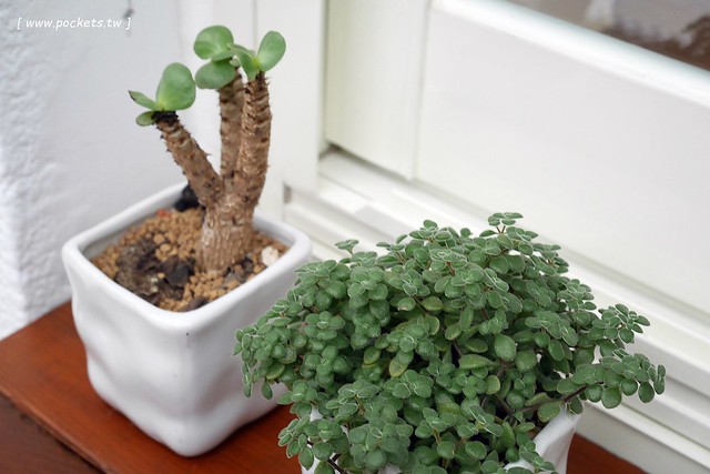 厝咖 True Colors┃台中西屯美食：隱身巷弄間的個人手作甜點工坊，可以品嚐世面世見的甜點種類，還有個人推薦冰滴咖啡和香水檸檬氣泡 @飛天璇的口袋