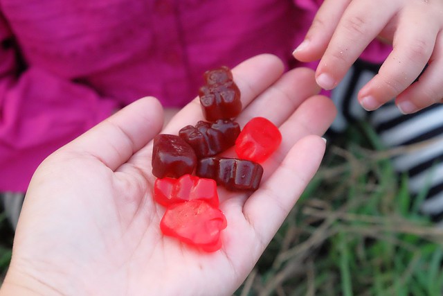 櫻桃共和國 Cherry Republic┃來自美國的品牌，產地100%直送酸櫻桃乾，莓果中的貴族超級水果，健康零食給小孩吃也放心 @飛天璇的口袋