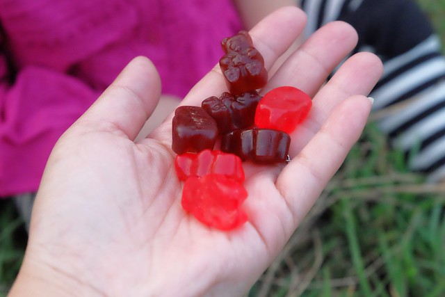 櫻桃共和國 Cherry Republic┃來自美國的品牌，產地100%直送酸櫻桃乾，莓果中的貴族超級水果，健康零食給小孩吃也放心 @飛天璇的口袋