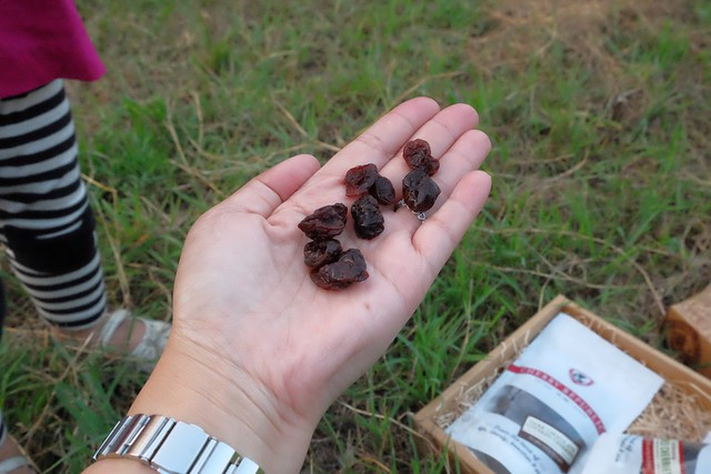 櫻桃共和國 Cherry Republic┃來自美國的品牌，產地100%直送酸櫻桃乾，莓果中的貴族超級水果，健康零食給小孩吃也放心 @飛天璇的口袋